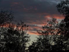 100B3701.JPG