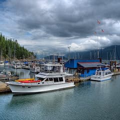 Salish Mist