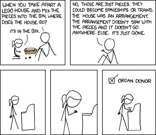 XKCD LEGO house