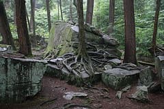 IMG_2307