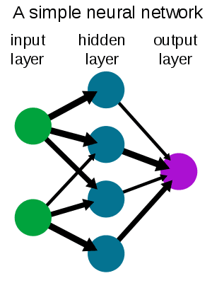 Simple neural network, Italian nouns