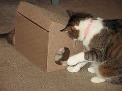 IMG_3265 IMG_3265