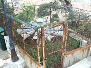 An air-raid siren in Nice, France, is still op...