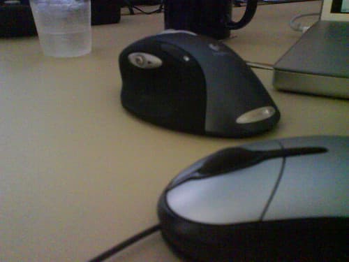 Old mouse in front, new in back