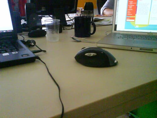 New mousey