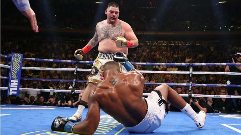 Anthony Joshua vs Andy Ruiz fight