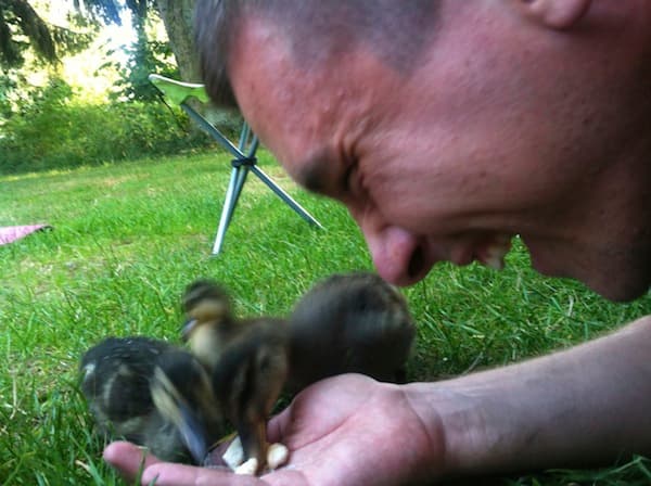 In Belgium we fed baby dinosaurs In Belgium we fed baby dinosaurs