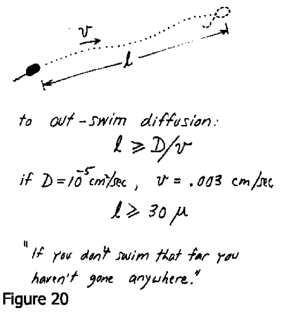 Outrunning diffusion Outrunning diffusion