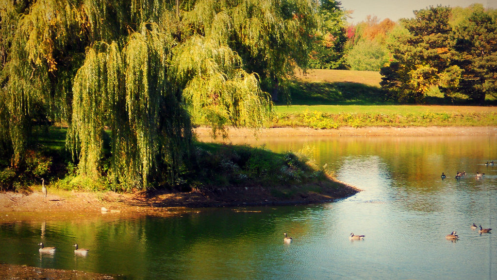 Summer into Autumn by blmiers2 Summer into Autumn by blmiers2