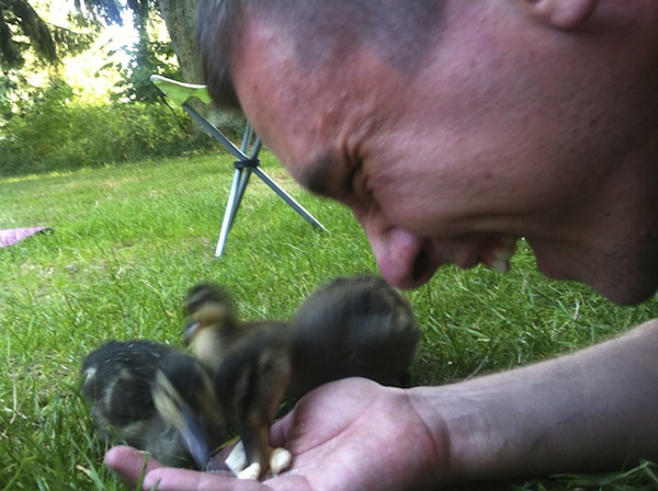 In Belgium we fed baby dinosaurs In Belgium we fed baby dinosaurs