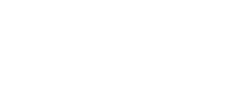 twitter-lite web component working without server rendering